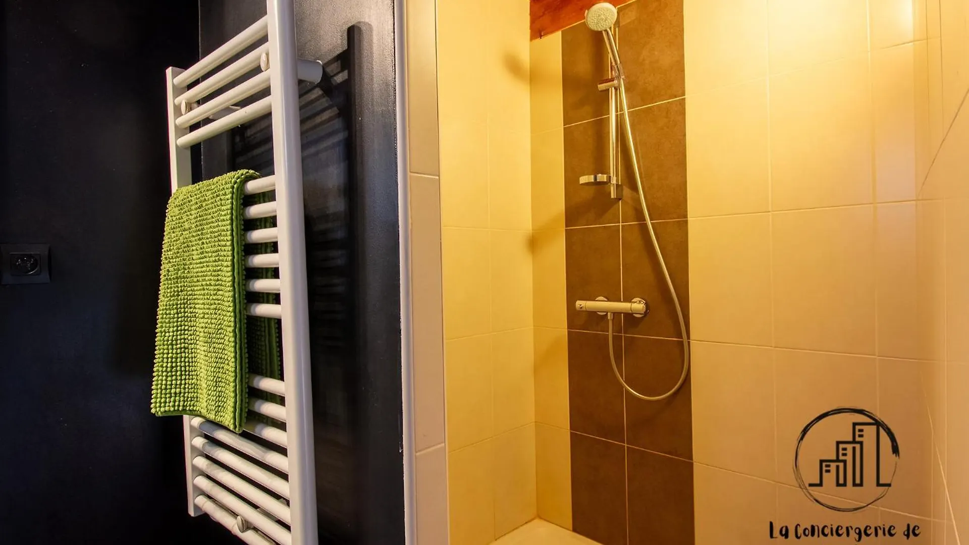 Appartement Loft Bernard De Castanet à Albi
